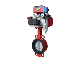 C20 series butterfly valves
