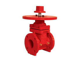 NRS Gate valve with round plate