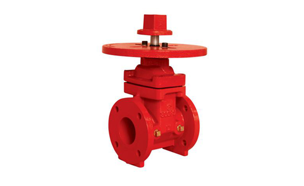 NRS Gate valve with round plate