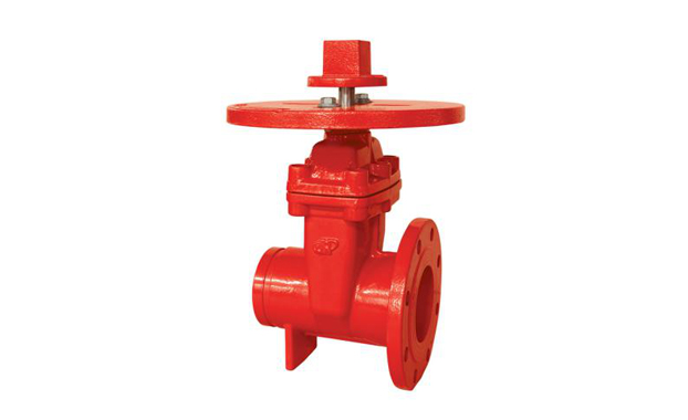 NRS Gate valve with round plate