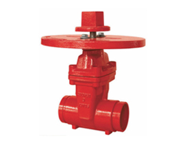 NRS Gate valve with round plate