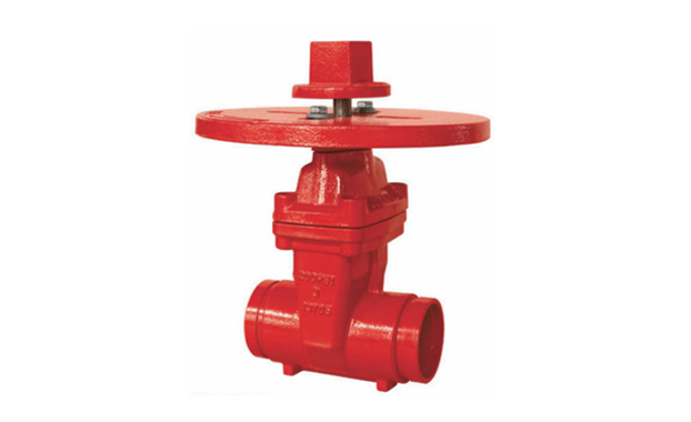 NRS Gate valve with round plate