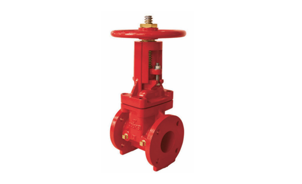 300 PSI OSY Gate valve with Handwheel