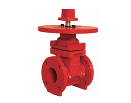 300 PSI NRS Gate valve with round plate