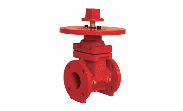 300 PSI NRS Gate valve with round plate