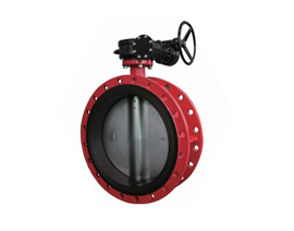 C22 series butterfly valves
